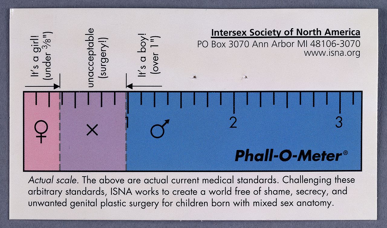 Phall-O-Meter